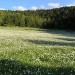 Orri De