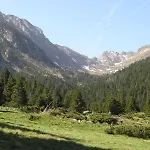 Orri De 3*