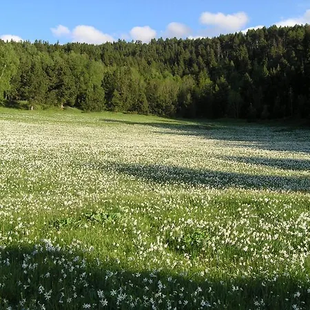L'orri De Planès - écologique